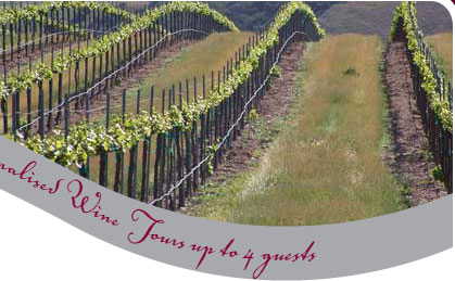 Personalized Wine Tours